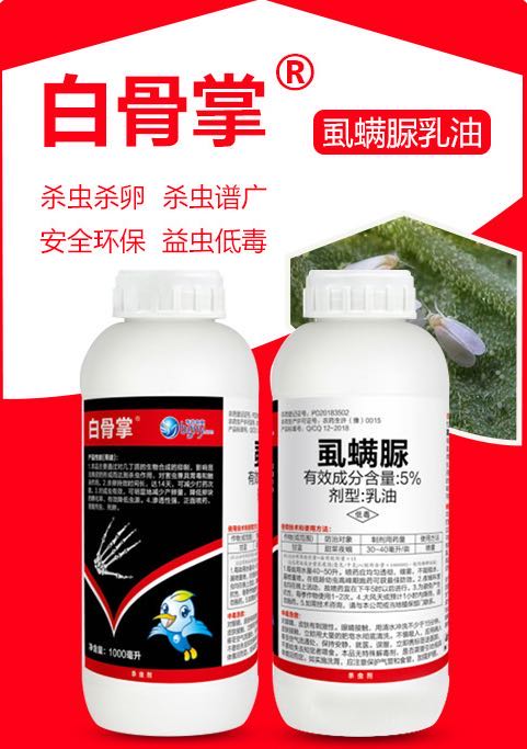 圖片_29.jpg