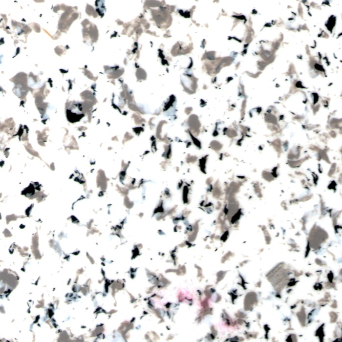 73109.jpg