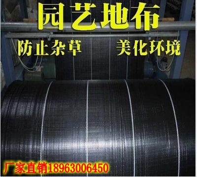1cb0c729bf0a4a9d86e0d4018e6c0c52_conew1.jpg