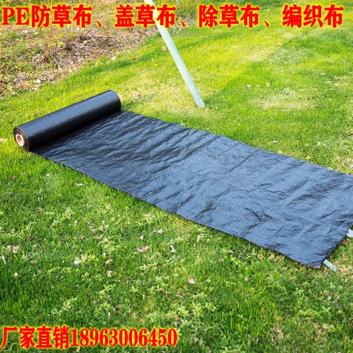 O1CN01cs55S52BxXPYUX11v_!!355778405_conew1.jpg