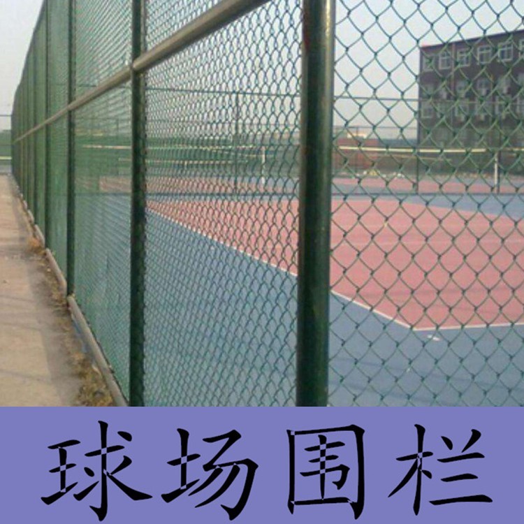 9549_1356016398_副本.jpg
