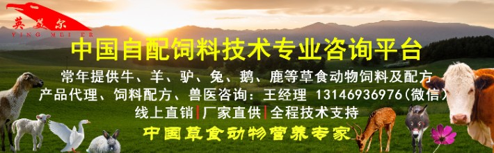 圖片_24.jpg