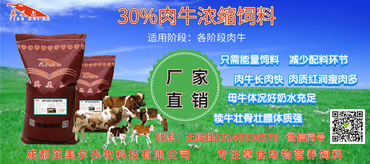 黃頁88發(fā)布牛濃縮料中間圖.png