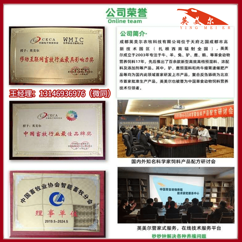 公司-2.png