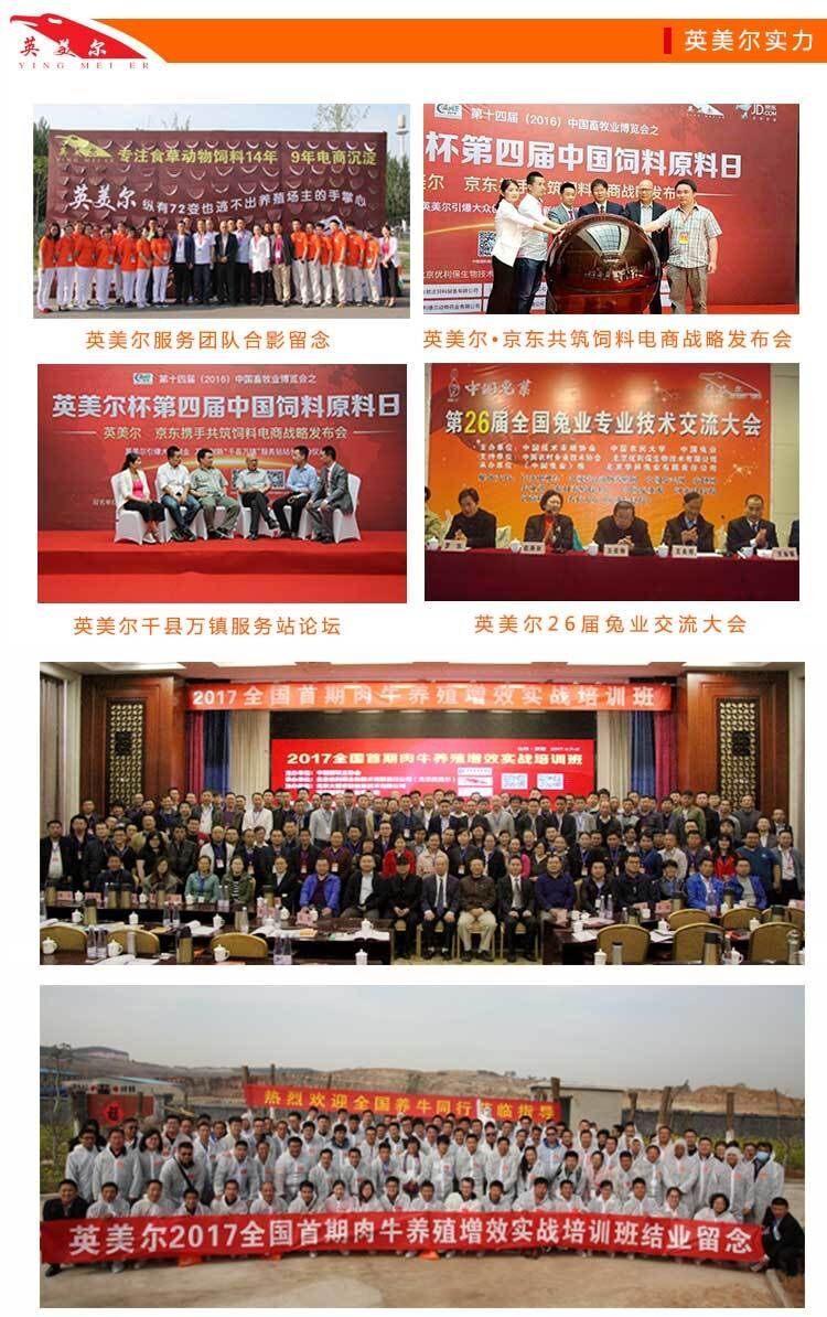 牛料10對比，肉牛催肥絕招必殺技