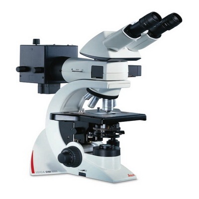 DM1000生物显微镜.jpg