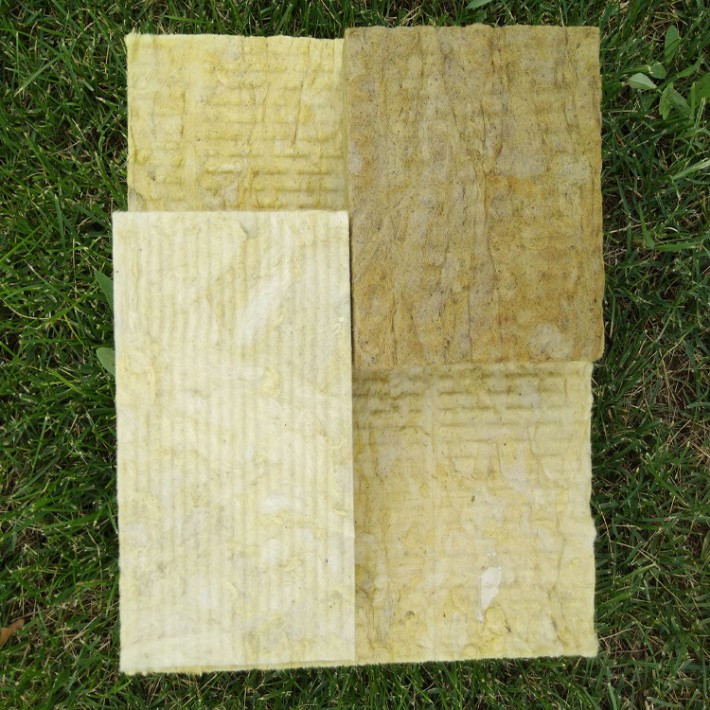 3987648316_521288926[1].jpg