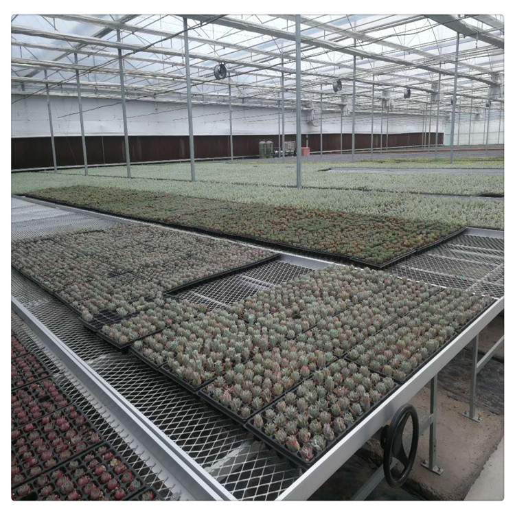镀锌苗床网活动苗床苗床制作