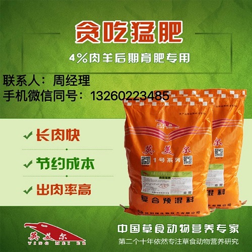 貪吃猛肥.jpg