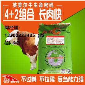 生命密碼.png