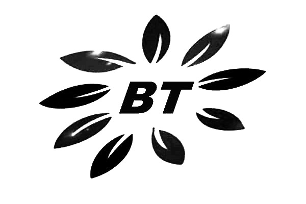 广谱型反渗透阻垢剂bt0110多种小分子有机物配方