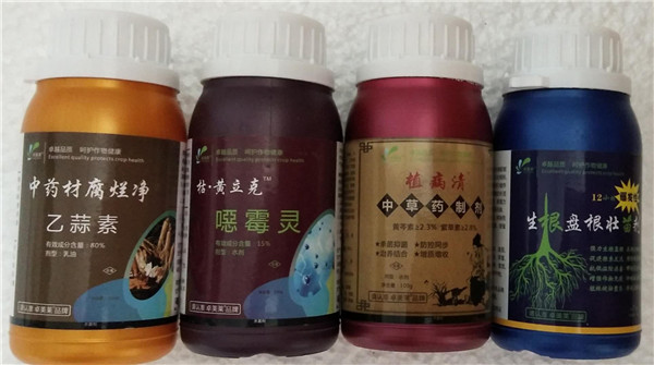 圖片_208.jpg