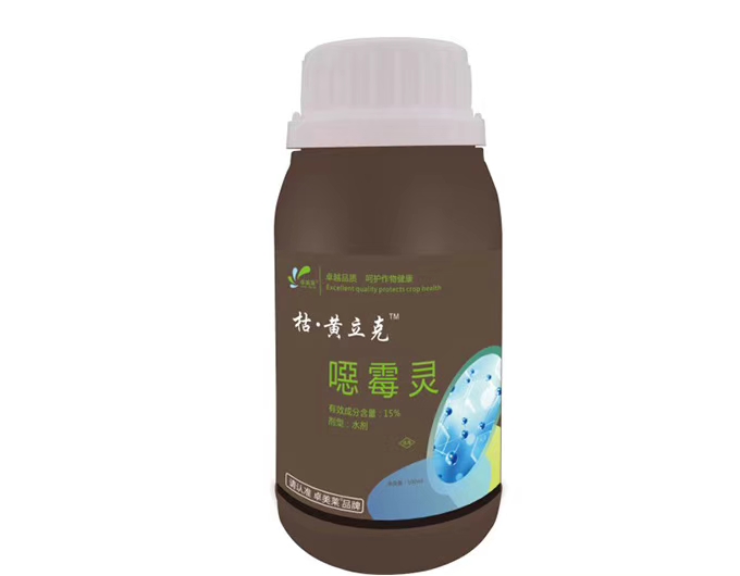 圖片_22.jpg