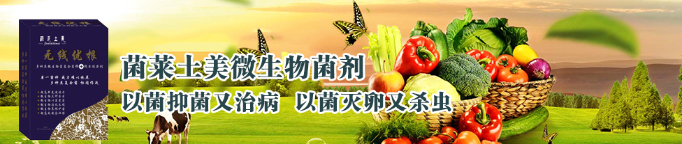 圖片_21.png
