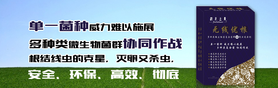 圖片_27.png