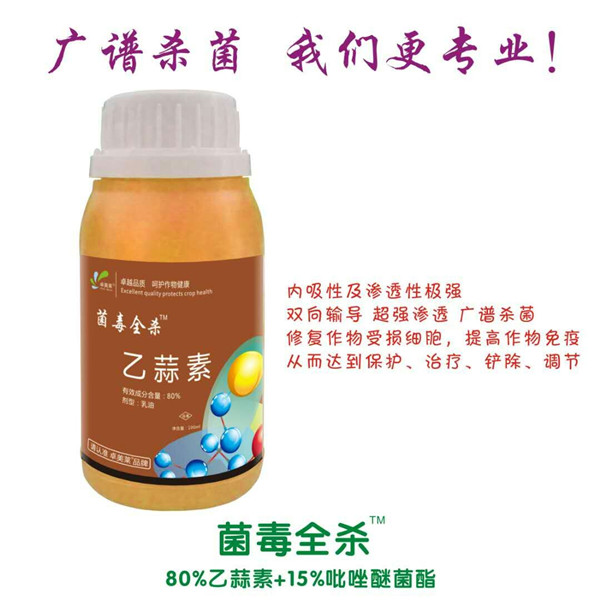 圖片_204.jpg