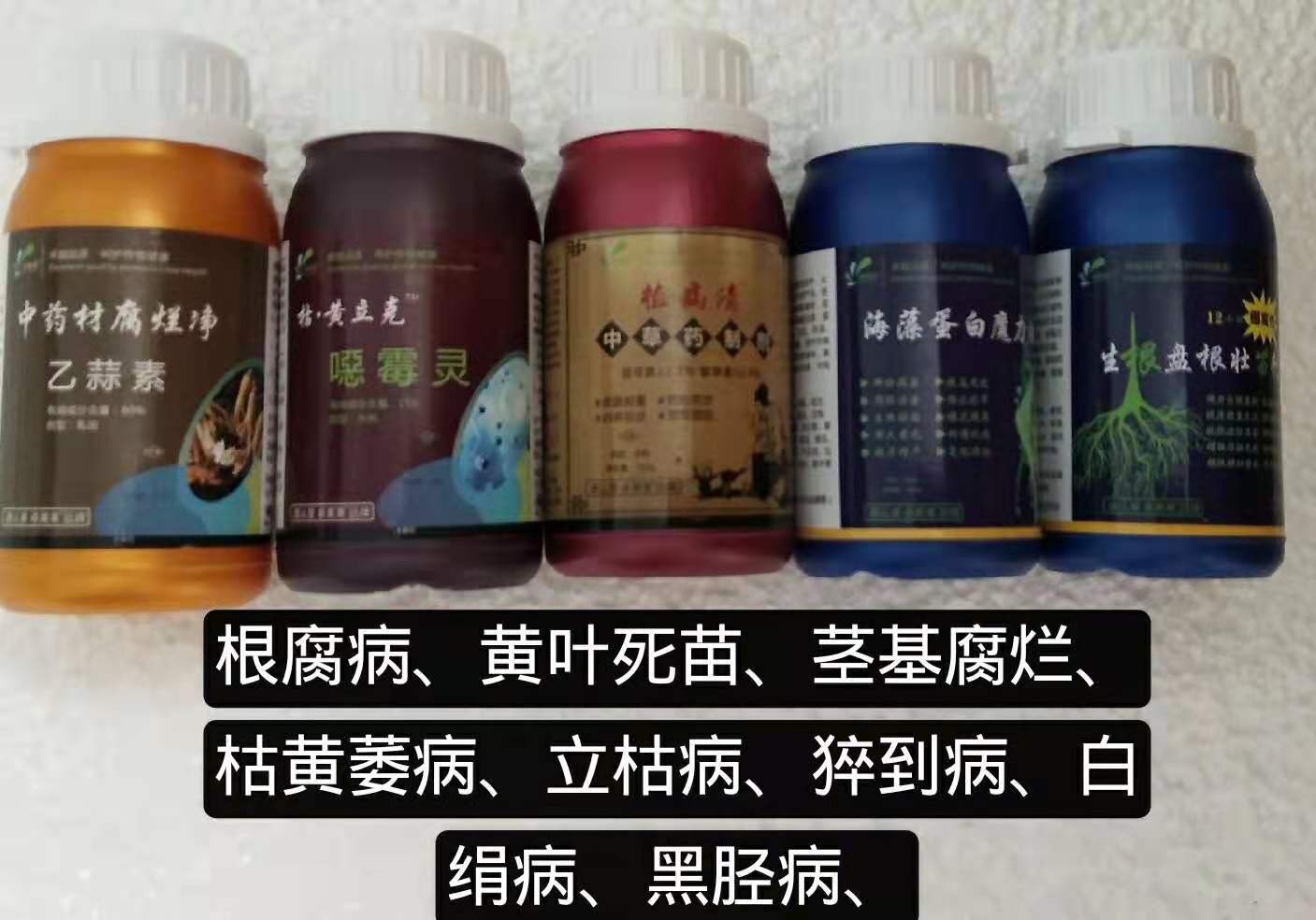 圖片_21 - 副本 - 副本 - 副本.jpg