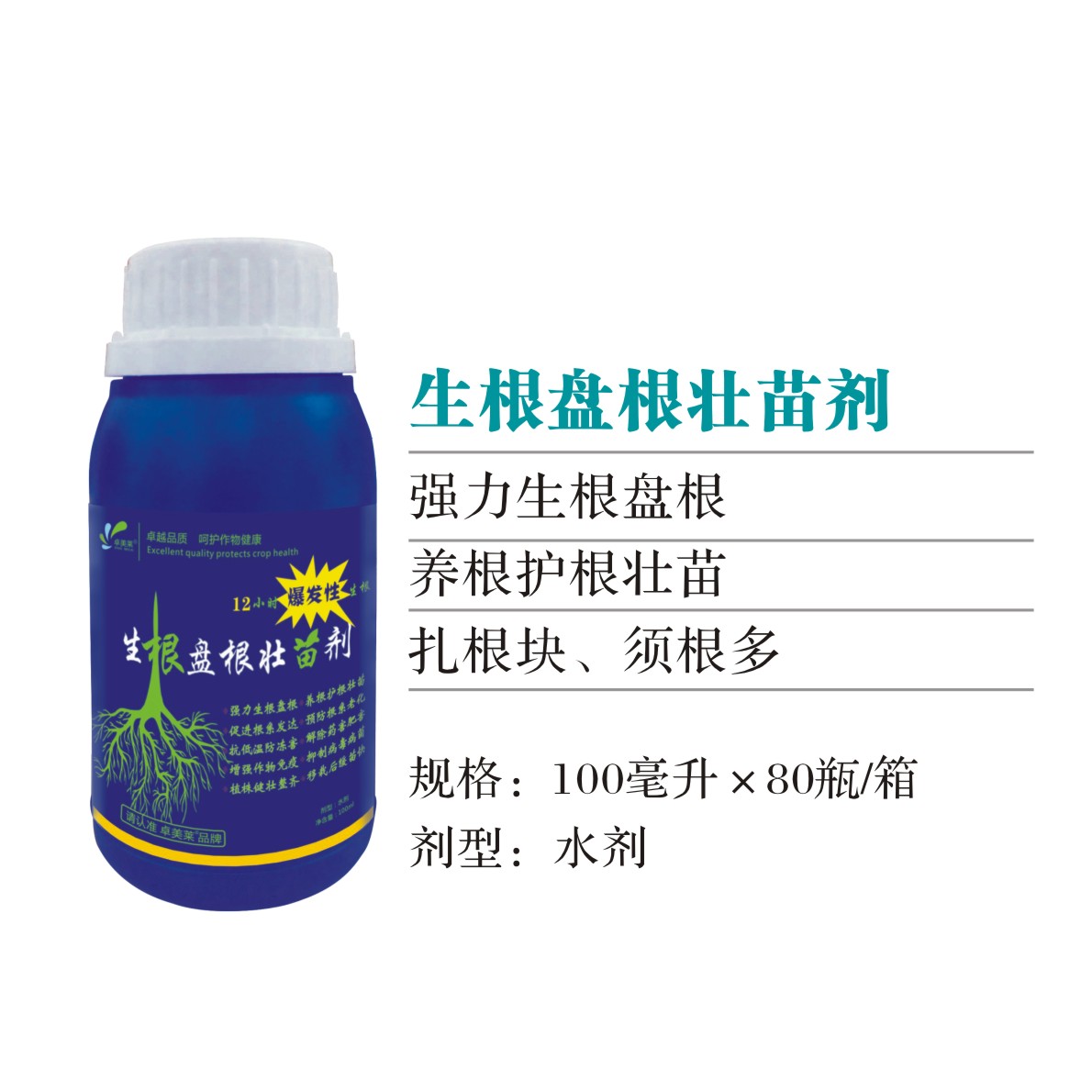 圖片_29 - 副本 (3) - 副本 - 副本 - 副本.jpg