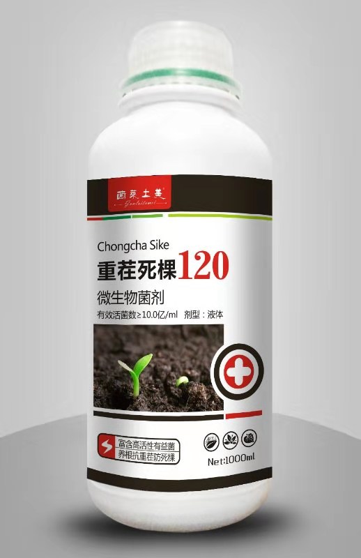 圖片_28 - 副本 (2).jpg