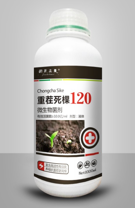 圖片_26 - 副本.jpg