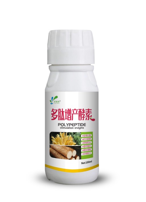 圖片_24 - 副本 - 副本 (2) - 副本.jpg