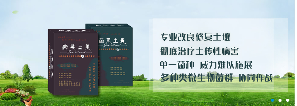 圖片_24.png