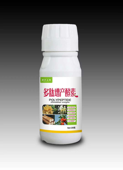 河北種植南瓜提高結(jié)瓜數(shù)量質(zhì)量的藥劑