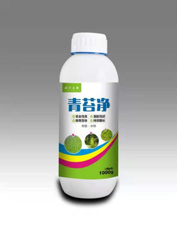 湖北種植水稻出現(xiàn)青水綿就用青苔凈效果好
