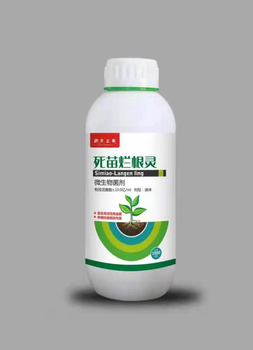 柴胡根腐病的發(fā)病原因與用什么藥防治