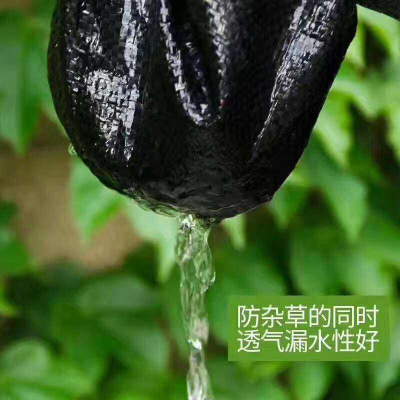 圖片_2116.jpg