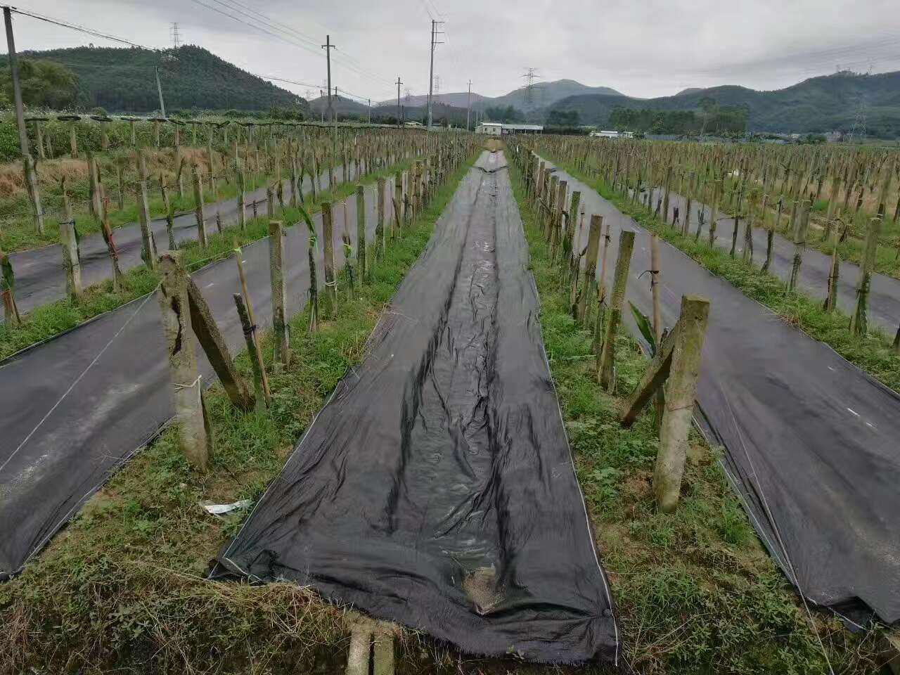 圖片_2123.jpg