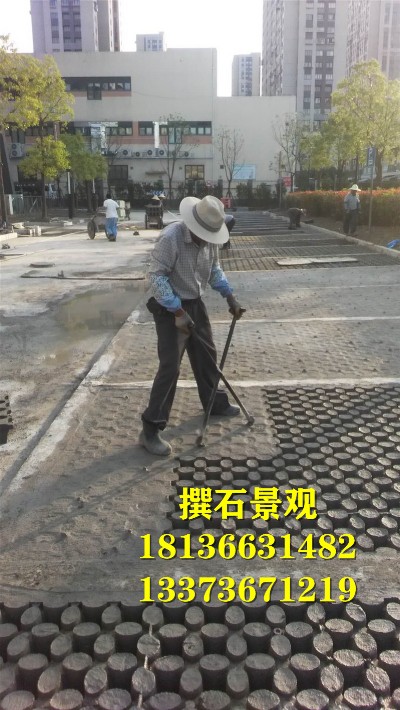 浙江湖州市海绵城市示范区（仁皇山新区）南太湖市民休闲公园植草停车位 (4).jpg