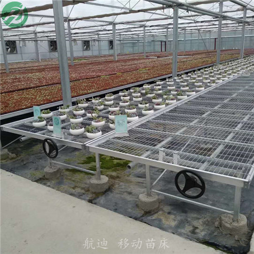 移動苗床 (37).jpg