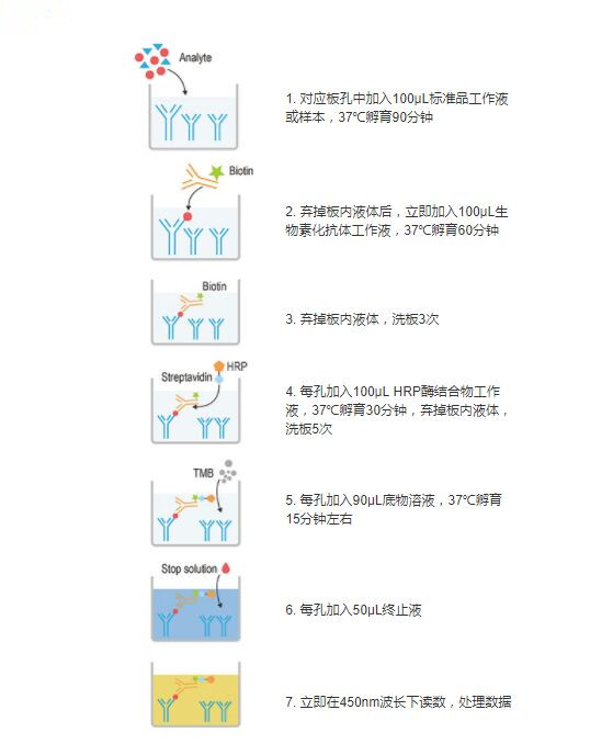 操作步骤图1.jpg