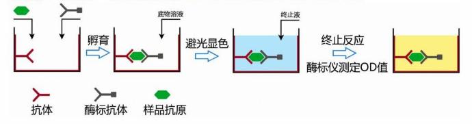 黄页图片2.jpg