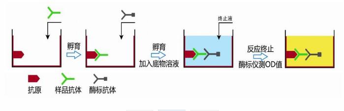 黄页图片1.jpg