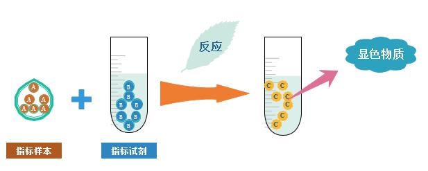 黄页图片1.jpg