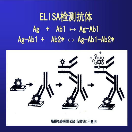 图片2_副本.jpg