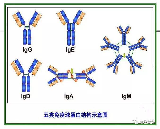 二抗001.jpg