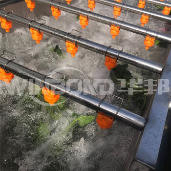 北京自动蔬菜漂烫杀青设备批发代理,漂烫机