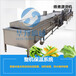 上海靠谱蔬菜漂烫杀青设备制作精良,蒸煮漂烫机