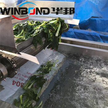 上海蔬菜漂烫杀青设备质量可靠,漂烫机