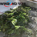 华邦蒸煮漂烫机,北京订制蔬菜漂烫杀青设备性能可靠