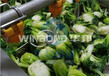 北京耐磨蔬菜漂烫杀青设备质量可靠,漂烫机