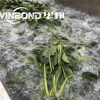 华邦漂烫机,上海自动蔬菜漂烫杀青设备款式