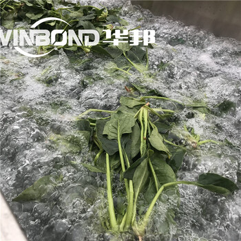 北京特蔬菜漂烫杀青设备批发代理,蒸煮漂烫机