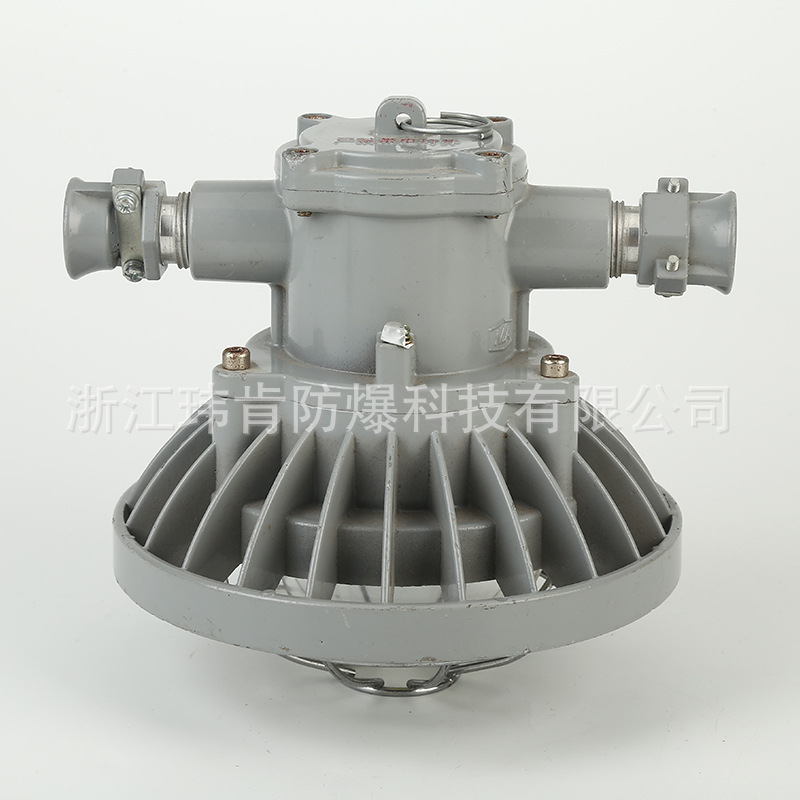 DGS-24 (6).jpg
