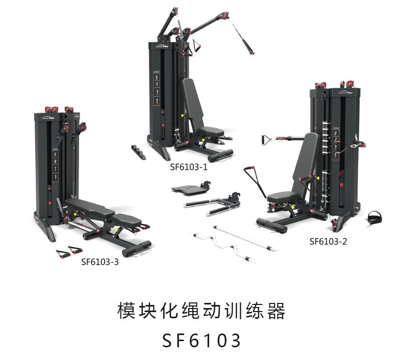 sevenfiter施菲特sf6103模块化绳动训练器商用大型力量健身器材