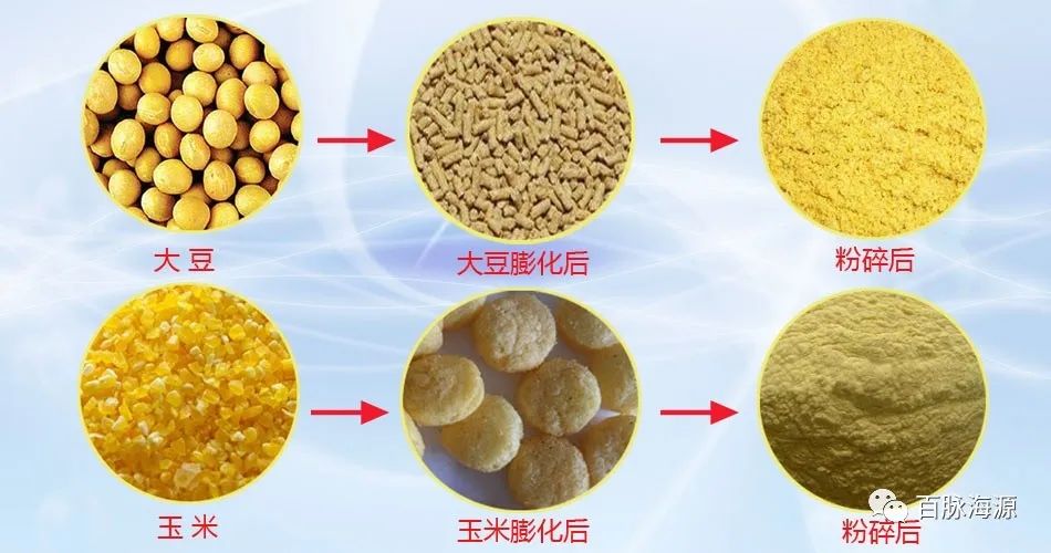 辽宁时产150公斤膨化大豆加工设备