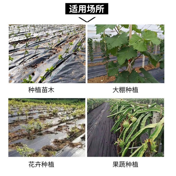 微信圖片_2930.jpg
